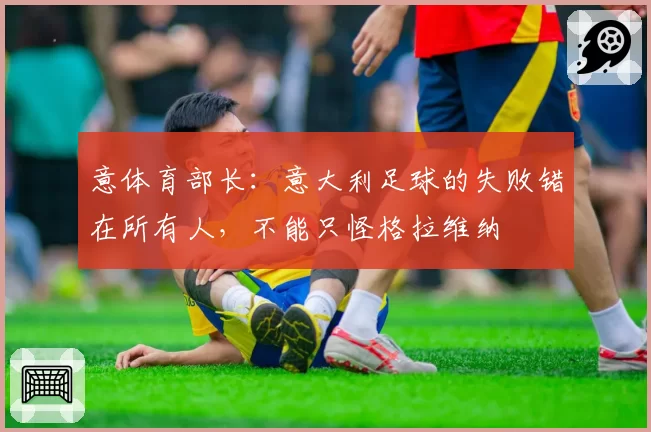 意体育部长:意大利足球的失败错在所有人,不能只怪格拉维纳