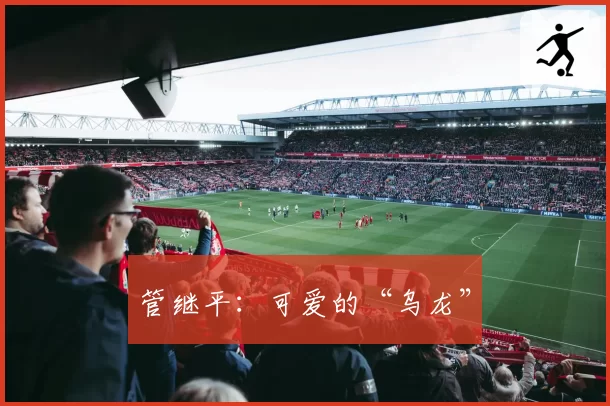 管继平:可爱的“乌龙”