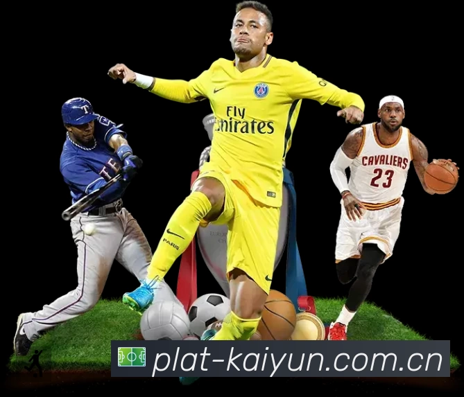 结构优化认证展示